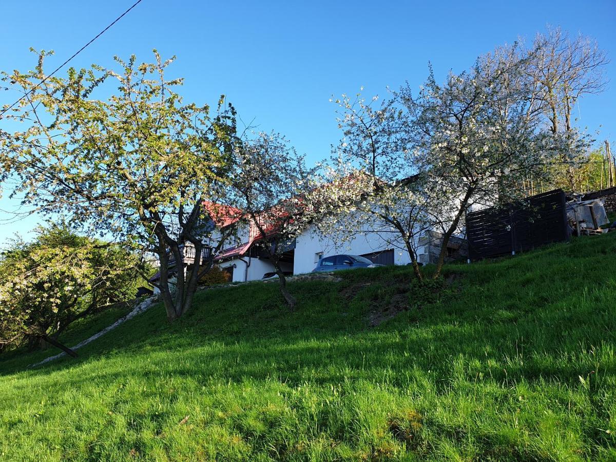 Pokoje Karkonosze Przesieka Exteriér fotografie