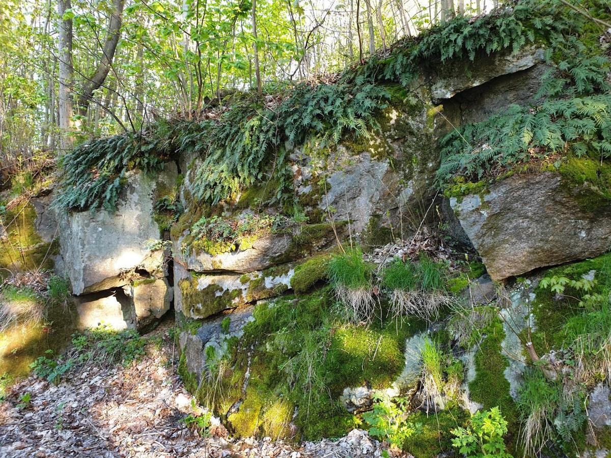 Pokoje Karkonosze Przesieka Exteriér fotografie
